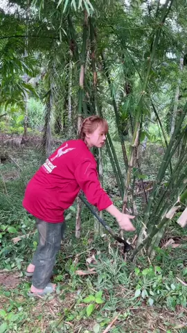 ทดลองกู้ผิว14วัน  #คอลลาเจนชาเทียร์ 