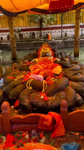 Deity Budanilkantha. What do I know about Him? The Satya Yuga, when there was an era of meditation, a certain king really wanted to worship Lord Vishnu🙏🏻🙏🏻🙏🏻🦪🌺🌱💦🥥, and the Lord appeared in such a beautiful form😍. The Lord was placed on the palm of the king ☺️, since the size and scale in that era were not the same as now  Attempts to build a temple for the Lord were unsuccessful, and when they tried to clean the kunda, it was filled with blood, that is, the Lord did not want this either. At the bottom of this kunda many Shalagram shilas. Here is such a story#haribol #budhanilkantha #jaishreekrishna 