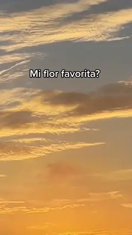 🌻✨ #aesthetic #girasol #parati #foryou #foryoupage #fyp 