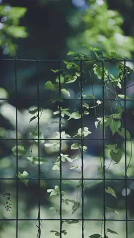 Bài hát: Đừng Bận Tâm-Khởi My #dungbantam #khoimy #sad #sadsong #fyp #chill #beautiful 