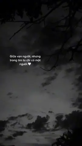 Trong tim ta chỉ có một người..😊#tinhyeu #fypシ #🎶 #tamtrang #sad #buon #hecodon #xuhuong #xh 