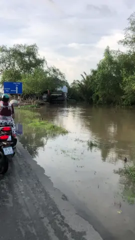 Nay đi Tiểu Cần Trà Vinh giao hàng mà về nước ngập qtr🤣🤣#xuhuong2022 