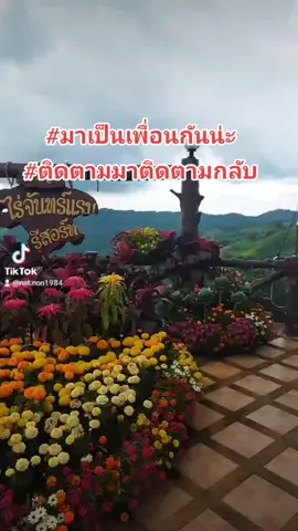 #ตามมาตามกลับ #ช่วยดันขึ้นฟีดหน่อยน้าาาาา 