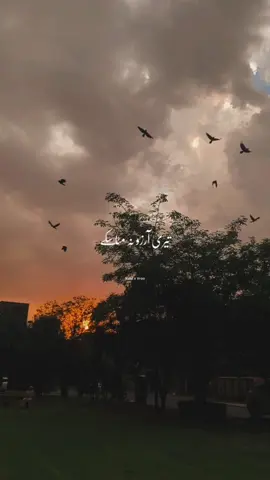 Sun saiyaan!✨🥀 #aestheticvroo #sunsaiyan #sadsongs #foryou #pakistaniost 