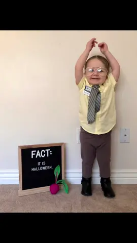 Reminiscing of when we dressed up as Jim, Pam and Dwight for Halloween. Harper was the perfect Dwight. 😂  #theoffice #MomsofTikTok #toddlersoftiktok #babiesoftiktok #familyhalloweencostume #halloweencostume #halloween 