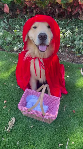 Little Red Kebinhood 