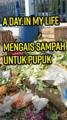 awalnya lihat begitu byk tumpukan sampah sayur dipasar, jadi aku berinisiatif untuk mengelolah sampah sayur menjadi pupuk/bokasi.  CEK KERANJANG KUNING DI BAWAH YA.....!!!!! #flypシ #flypシ #fyp #fyp #adayinmylife #palembang #tiktok 