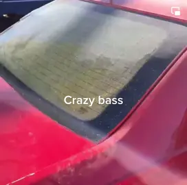 Caddy shattering rear window from bass!! #cadillac #cadillaccts #subwoofer #subwooferchallenge #subwooferflex #sundownaudio #xspower #caraudio #kickeraudio #rockfordfosgate #jlaudio #dcaudio #ficaraudio #tarampselectronics #stetsom #prvaudio 