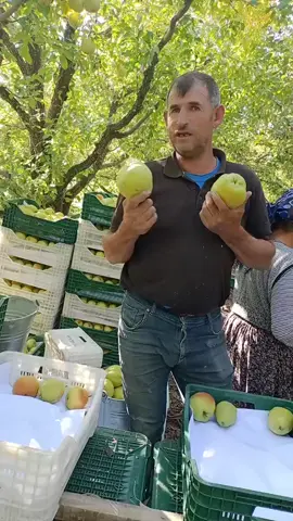 #armut #armut #deveciarmut #egirdirgölü🌹 😂😂 