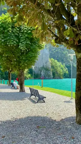 Lake Lucerne 🇨🇭#switzerland #fyp #nature 