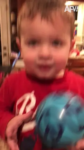 WAIT FOR IT LOL #funny #funnyvideos�� #fyp