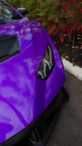 Introducing the Barney STO 🦖😈  • • • #westislandcommunity #barneythedinosaur #montrealcanada #lamborghinimontreal #lamborghini #lamborghinisto #sto #purplelamborghini #lamborghini_lovers #mtlmoments #lamborghiniliving #westislandmontreal #lamborghinihuracan #huracansto #supercarstiktok 