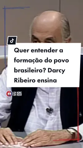 Darcy Ribeiro fala sobre a mesquinharia das classes dominantes do Brasil #politica #darcyribeiro #entrevista #capitalismo #sociologia 