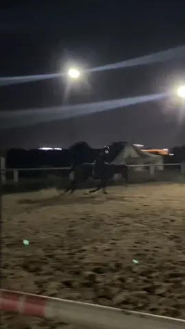تتفقون انه مافي احسن من يوميات الفارسات 😭 #explore #fyp #خيل_وخياله🐎 #فارسات #السعودية 