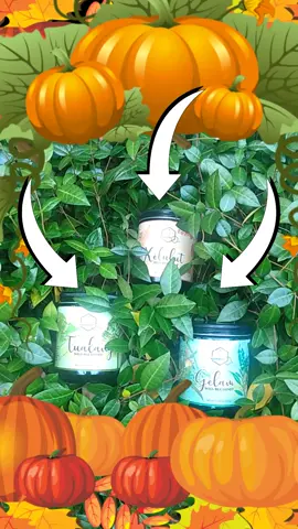 #Pumpkinpatch #gilmoregirlssong #rawhoney