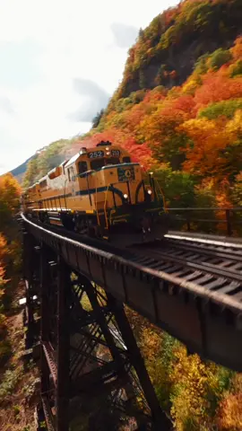 The mountaineer train making its way through the White Mountains at peak foliage 🍁 🚂 🍂  . . . #newhampshire #newengland #fallfoliage #newenglandfall #visitnh #whitemountains #crawfordnotch #fpv #cinematicfpv #fpvdrone #fall #autumn #drone #cinematic #train 
