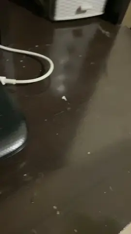 XD