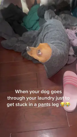 Toby rocking the turtle neck look 😂