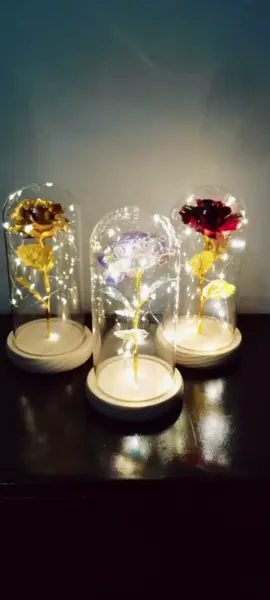 Eternal Rose. Rose in glass dome. #rosedisplay #glassdome #roomdecor #decor #homedecor  #perfectgift #gift #roselight #fairylamp #desklamp #roseglassdome #eternalflower #foryou #fyp #fypシ 