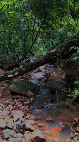 #motorcross #motortrail #trabas #trabastrail #fypシ #fypシ #fypage #adventuretrailindonesia #trailadventureindonesia #SemuaPakeBRImo #trabasadventureindonesia 