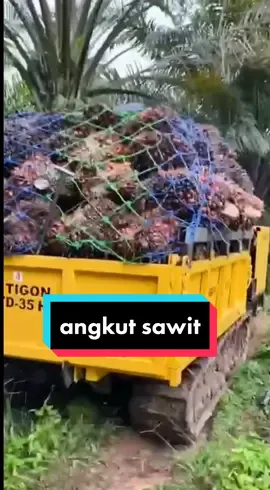 kendaraan angkut sawit nih bosku, senggol dong!😎 #tigon #dumpercrawler #angkutsawit #langsirsawit #kendaraansawit #kendaraanangkutsawit #mobilsawit #jagonyamesin 