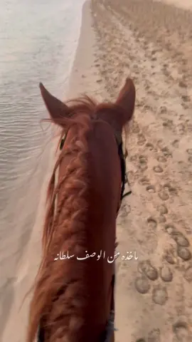 ماخذه من الوصف سلطانـه .. و عاديات الحسن مرهونـه.. جامحه واتريض ف اعيانـه .. فتنه للشوف مزيونـه..