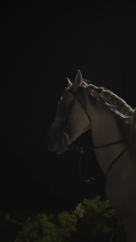 عالم ثاني😴#خيل و #مطر #حائل #مربط_عقدة #حايلندا 