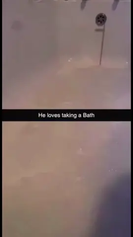 #memes #joke #funnyvideos 