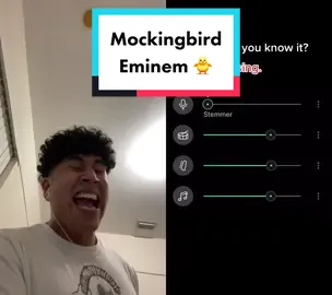#duet with @song.lyrics0010 here’s to the ones that been asking for it :) #mockingbird #eminem #lowkeymental  