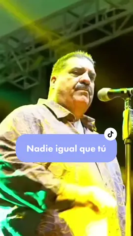 Nadie igual que tú #maeloruiz #salsa #salsaromantica #lyrics #parati 