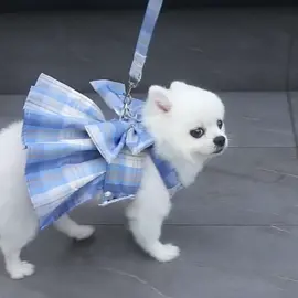 Elegant Dog Dress#dog#Pet Supplies & Pet#dog clothes