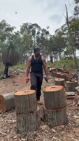 STILH Block Splitter vs FISKERS Pro Maul