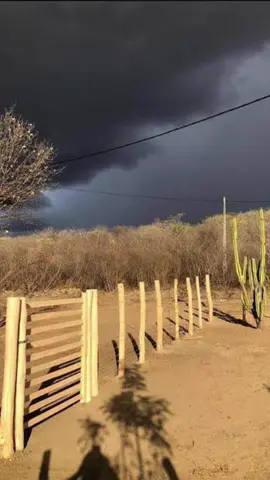 Chegando o mês de #novembro 🌧️🌵 #fy 