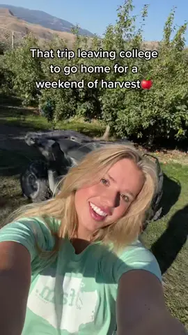 I think these exams are making me lose it… time to get my sanity back!😂🍎 #applegirl #college #harvest #roadtrip #shaniatwain #freshproduce #farmer #farmgirl