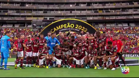TRI CAMPEÃO DA LIBERTADORES DA AMÉRICA  #vamosflamengo #vamossercampeao #issoaquieflamengo #gabigol #flamengo #libertadores #torcida #campeao #fyp #youpage #y #torcidadoflamengo #maiordomundocrf 