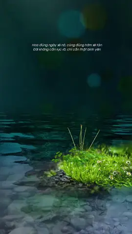 Đời không cần rực rỡ, chỉ cần thật bình yên #binhyen #cuocsong #xuhuong #Halloween2022