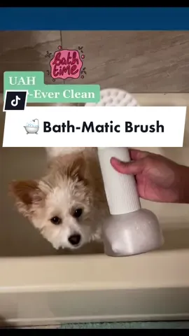 I woof 💗 this automatic bubble dog bath brush from @uahpet.official It’s high-elastic silicone soft brush teeth, made of safe, non-toxic material, harmless to pet skin, achieving massage effect in bathing process makes bath time easier and relaxing 😌 This definitely goes to Akira’s Choice List. Get yours now & use the code: HIAKIRA15 to save. Check the link in my Bio.   #bathmatic #uahpet #bathtime #dogbathproducts #akiraschoice  #dogmodel #contentcreator #ambassador #fashionista  #dogloverscommunity #petfluencer #akira #akirathepomapoo #pomapoolife #cutedog #smalldog #designerbreed #pomeraninan #minipoodle #pawmily #productrecommendations #discountcodes #linkinbio #HowIBathAndBodyWorks 