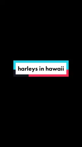 trendnya kerenn bgt #harleysinhawaii #fyp 