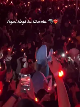 Aquí llegó tu tiburón 🦈❤️‍🔥 @badbunny #badbunnypr #badbunnychile #badbunnyconcert #badbunnyfans #badbunny 