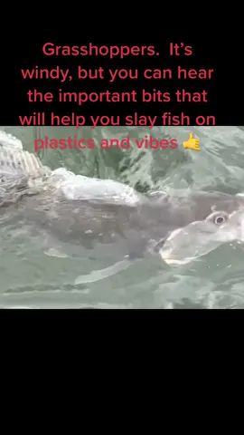 Who wants more #Fishing #InstructionalVideos and #HowToFish #Tips and #Tricks? 