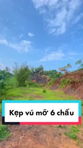 Trả lời @Phàm Chưa 18  A cũng chịu ông em thôi 🥰🥰🥰
