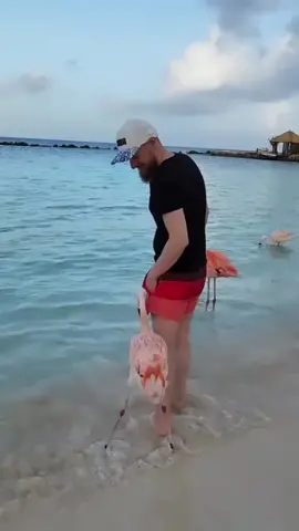 Don't stand on my turf, or I'll kick your ass#nature #foryoupage #cuteanimals 