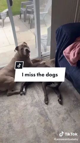 Replying to @jenmountain 