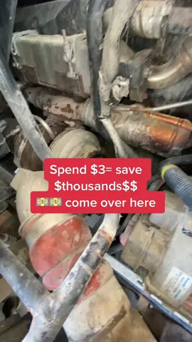 Save money, come over here #mechanic #truckerlife #dieselmechanic #comeoverhere #bigrig #truckersoftiktok #superclean 