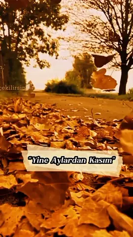 📌Sanki Sende Kaldı Bir Yarım...🥀 #tual #yineaylardankasım 