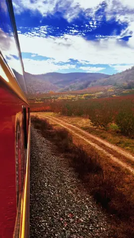 An autumn train ride through Virginia’s Blue Ridge 🍁♥️ #appalachia #fall #train #blueridge #shenandoah #virginia 