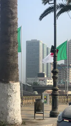 #يخليك_ليا_يا_بلادي❤️🇩🇿❤️  #بلادي_هي_الجزائر  #تحيا_الجزائر  #الثورة_الجزائرية  #أول_نًوفمير _1954