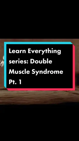 #sciencetiktok #sciencetok #doublemuscle #weightlifting #cats #cows #musclegrowth #GymTok #biotok  #greenscreenvideo#greenscreenvideo #greenscreen  #LearnOnTikTok #learnwithbearbait 