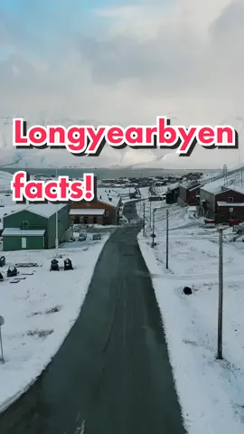 The World's Northernmost town Longyearbyen 🏘🐻‍❄️🌨🌛 #svalbard #longyearbyen 