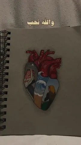 أنتي الجنوب .. وانا الشمال |  #4u  #fyp 